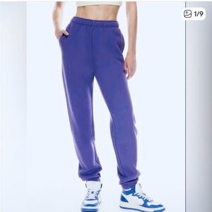 Aritzia Sweatpants Cozy Fleece